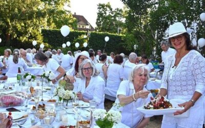 Elegantes Open-Air-Picknick